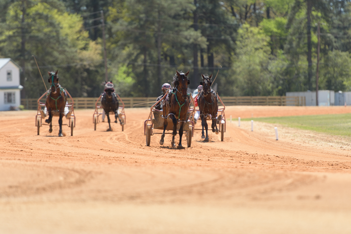 PinehurstMatineeApril022023-16
