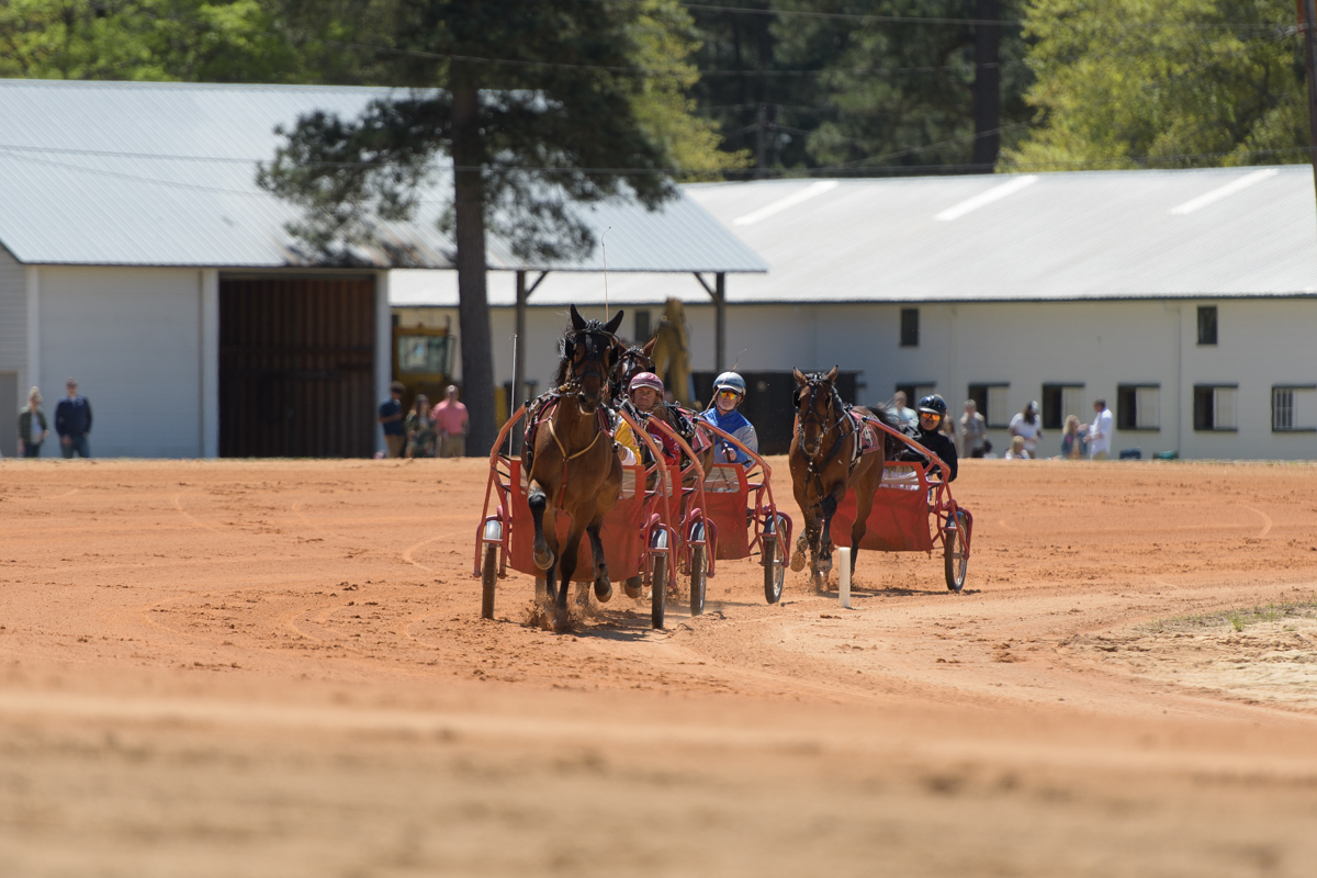 PinehurstMatineeApril022023-23
