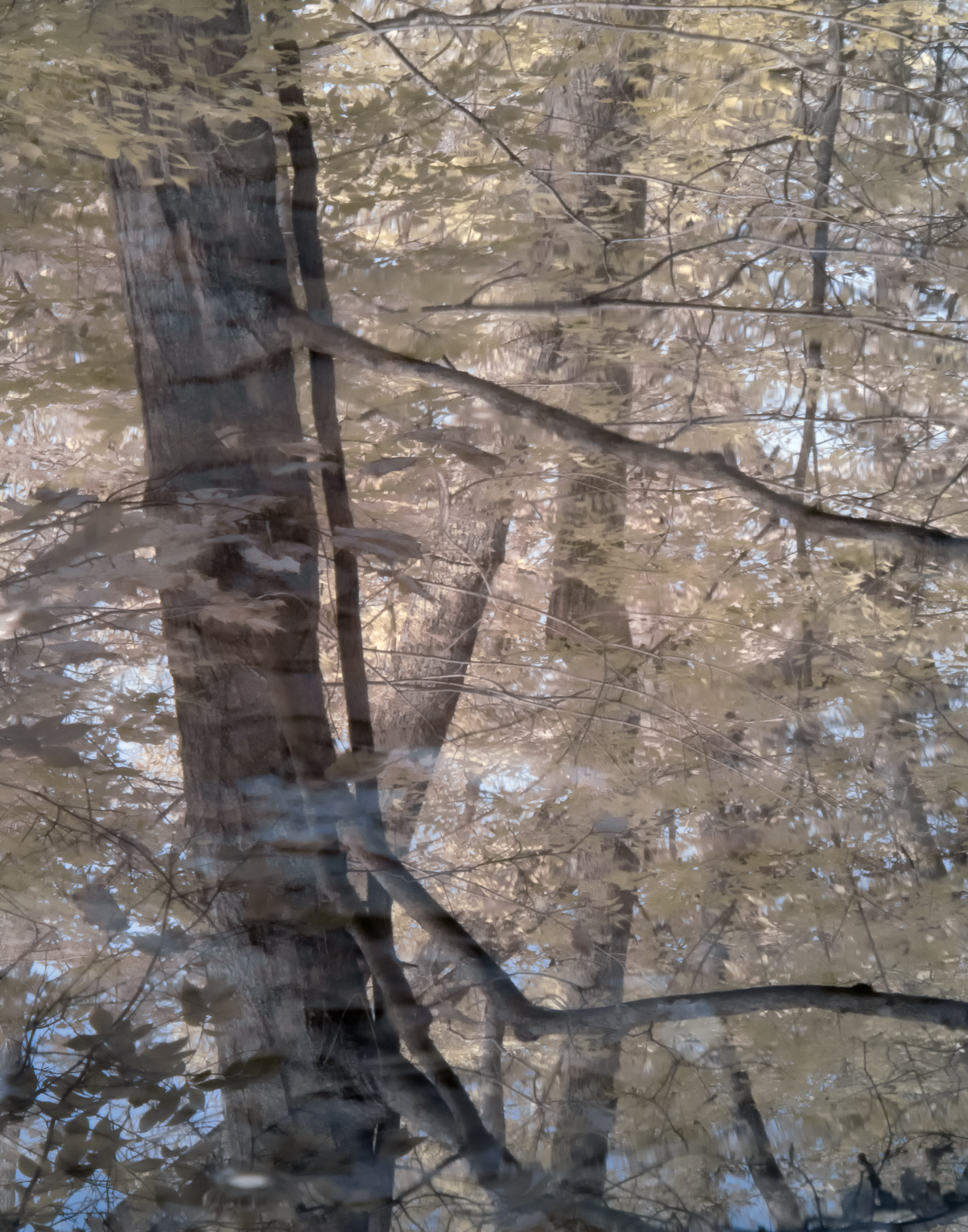 Reflections2