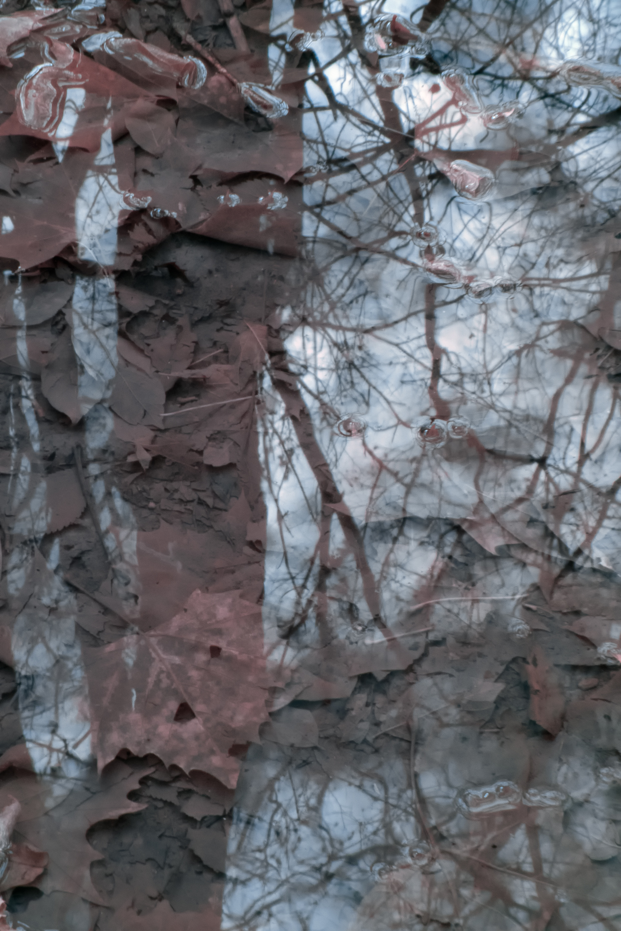 Reflections6
